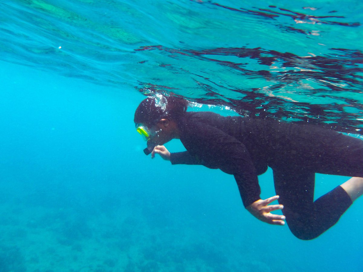WomenInFvm's tweet photo. This snorkeling trip was held within the #AliDhoadhi event : 4 day event to commemorate #worldmentalhealthday 📍Fuvahmulah City by WIF, @TheEcoOrgHQ @ProjectHavenMV @TransparencyMV supported by @bankofmaldives @Dhiraagu @FVMCouncil
🧵3/6 https://t.co/cOULlV7Pbg