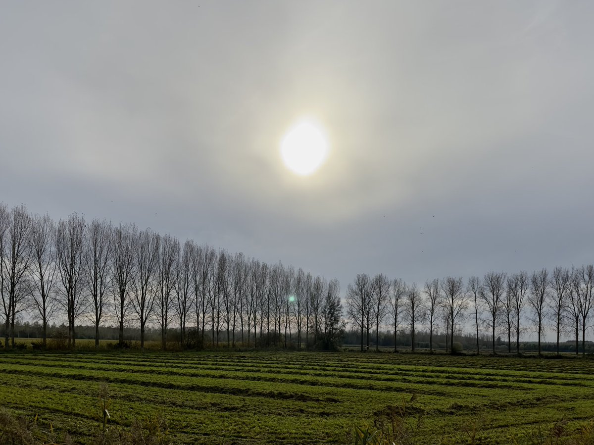 MWezemael's tweet photo. #vrtweer #weerfoto #zon#herfst #Moerbeke https://t.co/1z47dP2rgI
