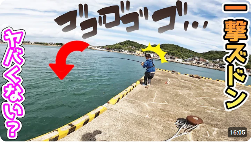 muscles_power's tweet photo. #釣りせんば #離島生活 #SquidJig #FishingLure #SquidFishing #NatureBeauty #RemoteislandLife #Remoteisland #FishingLife #Fishing #Outdoors #FishDishes #DeliciousFish #OutDoorLife
【離島】最近強い魚が住み着いているという公民館前の波止で釣りしたら…
https://t.co/Jj7MFrYAkK 
@YouTube https://t.co/UNJbwEieL5
