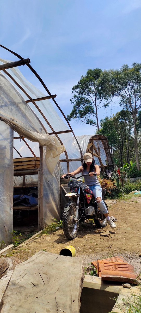 ✿ meong 🐊 tweet media