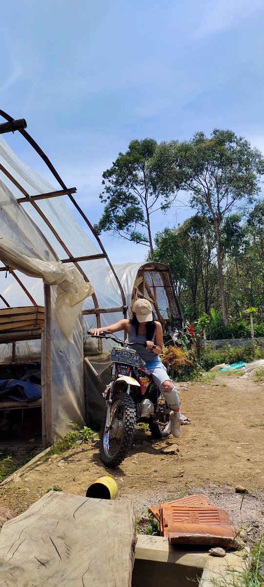 ✿ meong 🐊 tweet media