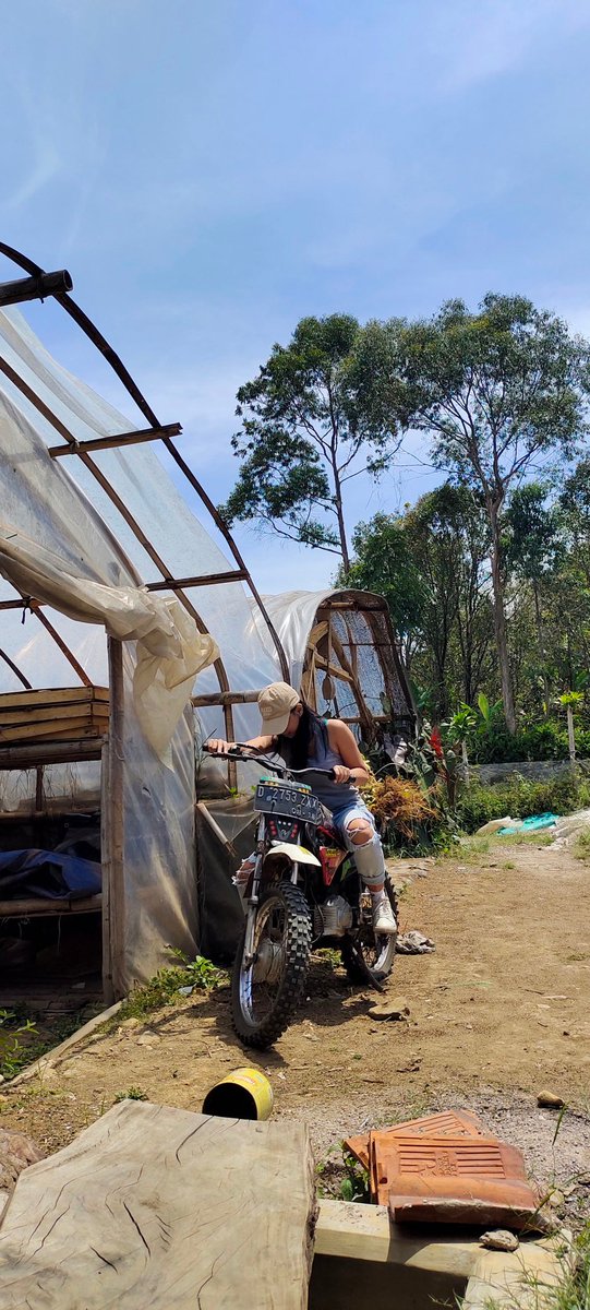 ✿ meong 🐊 tweet media