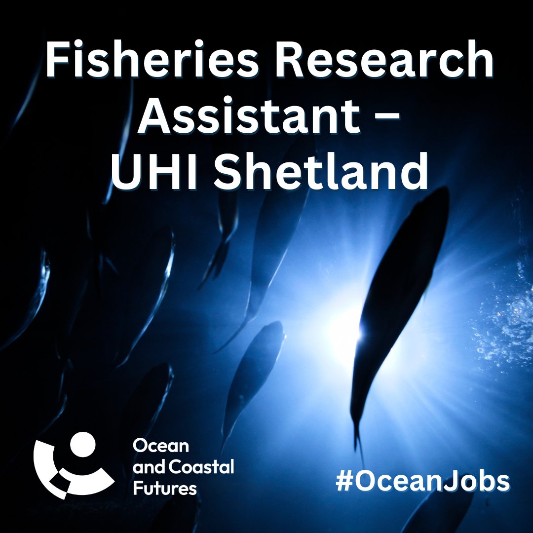 Ocean and Coastal Futures (OCF) (@cf_conf) on Twitter photo 🔔#job: Fisheries Research Assistant – <a href="/uhishetland/">UHI Shetland</a>
▪️Closes: 30 Nov
▪️Salary: £26k + Island allowance
▪️Location: Shetland
▪️Details👉cmscoms.com/?p=41361
Sign up for #OceanJobs👉 cmscoms.us1.list-manage.com/subscribe?u=a4…
#hiring #vacancy 🔔#job: Fisheries Research Assistant – <a href="/uhishetland/">UHI Shetland</a>
▪️Closes: 30 Nov
▪️Salary: £26k + Island allowance
▪️Location: Shetland
▪️Details👉cmscoms.com/?p=41361
Sign up for #OceanJobs👉 cmscoms.us1.list-manage.com/subscribe?u=a4…
#hiring #vacancy
