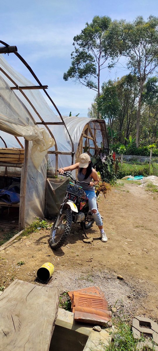 ✿ meong 🐊 tweet media