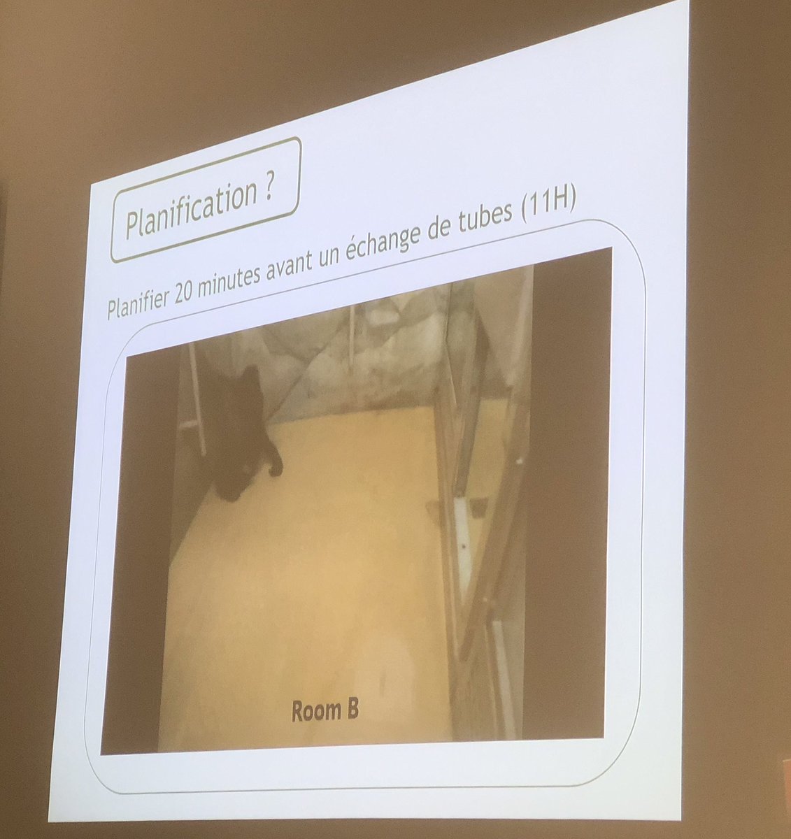 Cécile Sarabian tweet media