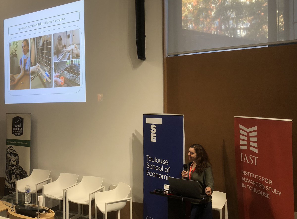 Cécile Sarabian tweet media