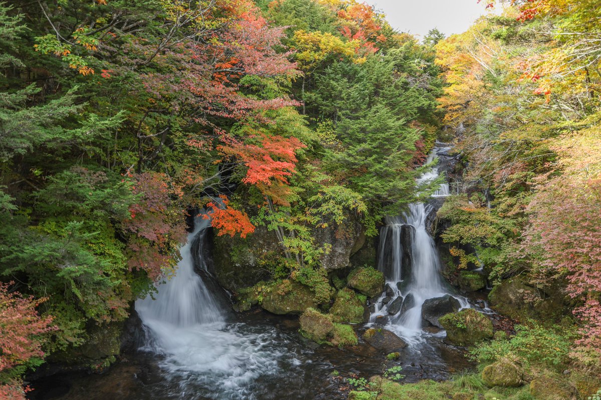 nikkonsm's tweet photo. 奥日光各地で紅葉が見頃！！
竜頭の滝から上は見頃、中禅寺湖畔はあと少しといったところです。

#奥日光紅葉 #日光紅葉 #戦場ヶ原 #半月山展望台 https://t.co/94IIek9GFY