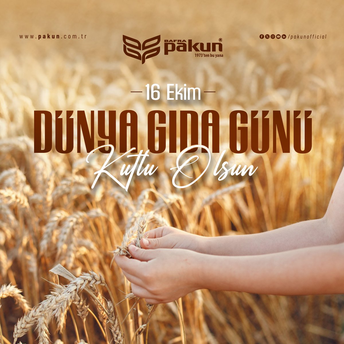 PakunOfficial's tweet photo. Dünya Gıda Günü'nde, Pakun ailesi olarak buğdayın yaşamımızdaki vazgeçilmez yerini bir kez daha vurguluyoruz. Doğanın bize sunduğu bu değerli kaynakla, sağlıklı ve sürdürülebilir besinler üretmek için çalışıyoruz.
#pakun #dunyagıdagunu https://t.co/vXG6L3i6Zb