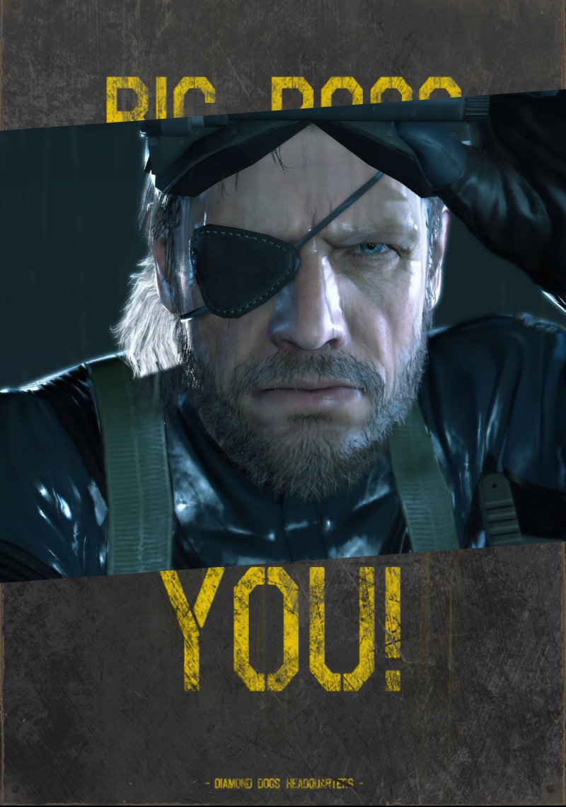 MGSV:TPPの第二章のマザーベースに貼られる