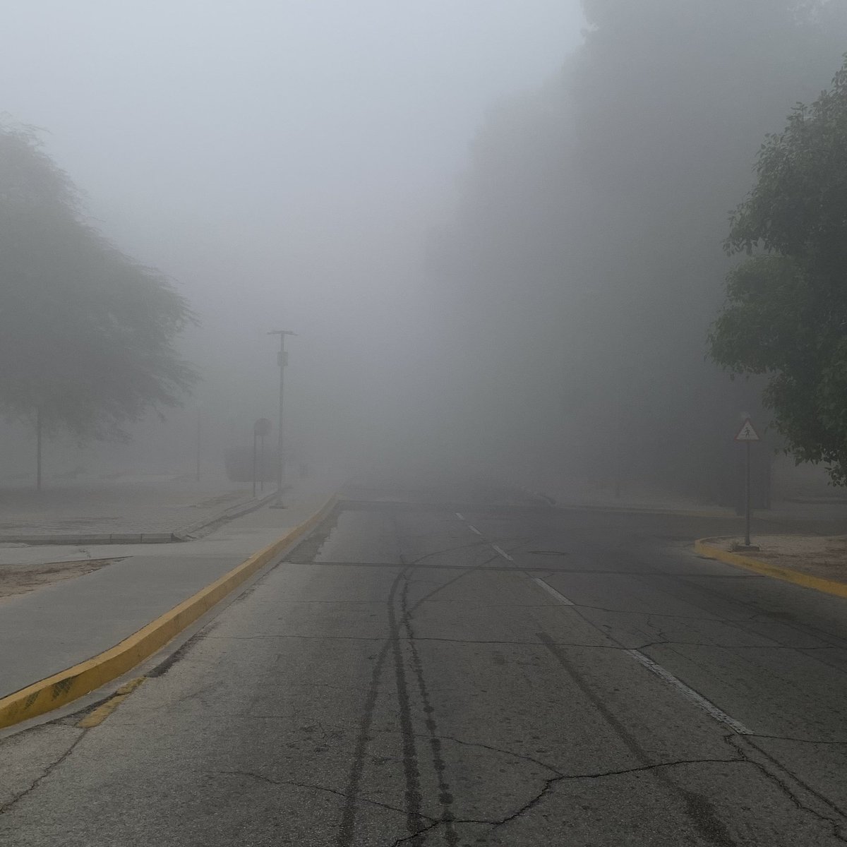 raidhimself_'s tweet photo. Morning walks are a must 
12:23 pm https://t.co/QjkSI2T3Lj