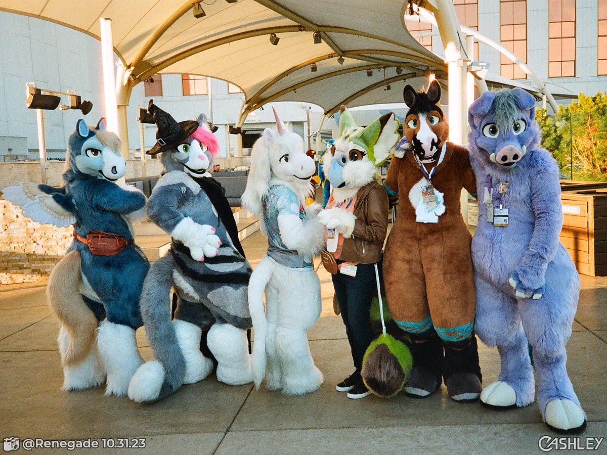 I wasn't able to make it to BLFC this year and I've been missing it far more than I expected, but either way, I can't wait until I get to hang out with my suit family again! 🐱🦄🦜🐴🐗

Tags in the comments!