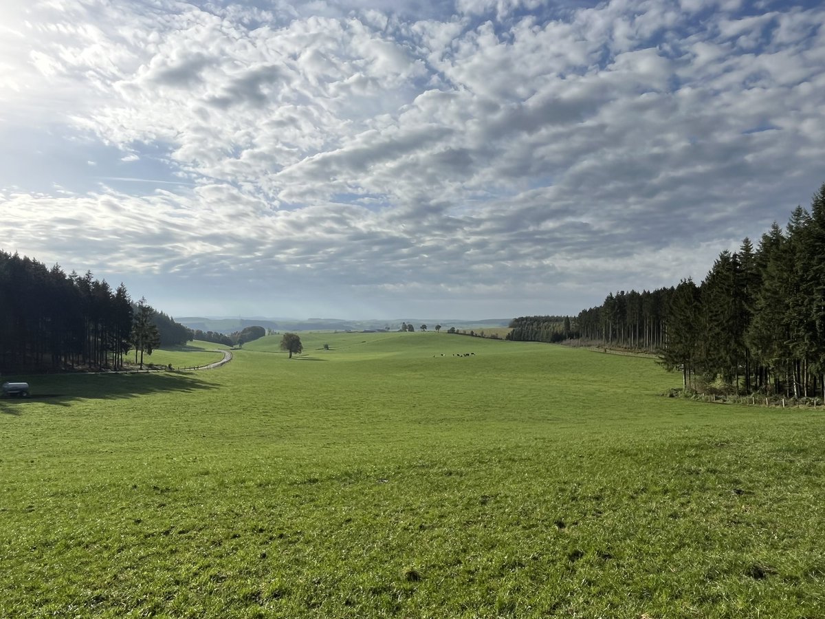 MatthiasBil's tweet photo. Thommen 11u00 #vrtweer https://t.co/NsbmqE7lQM