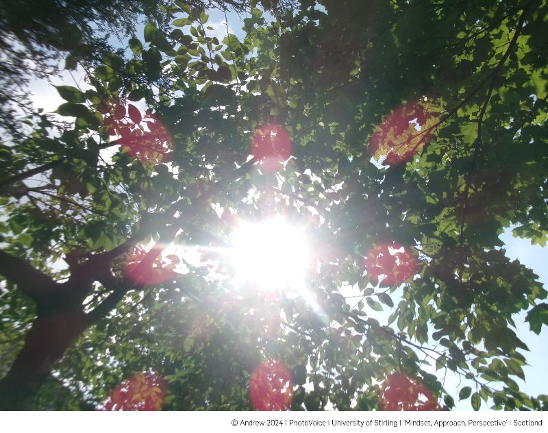 Open Eye Gallery tweet media