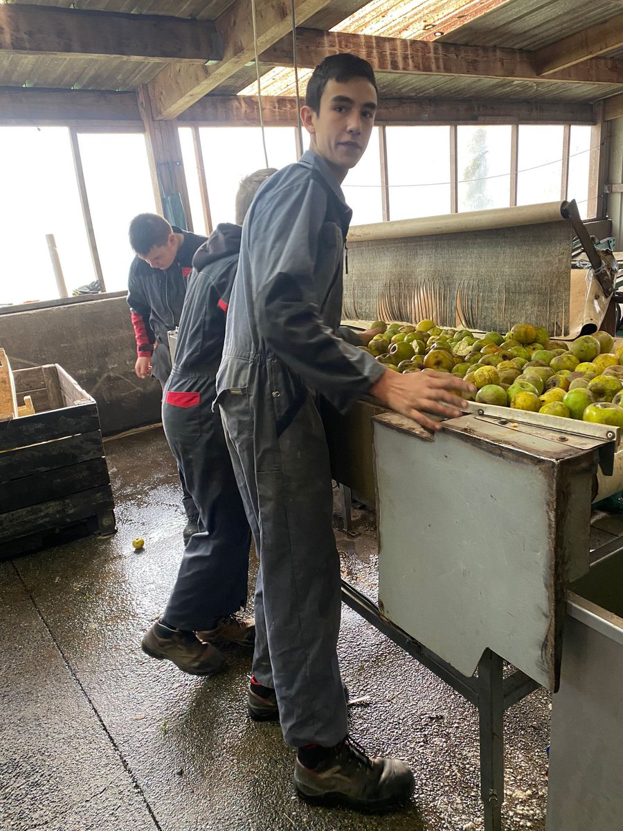 MFR-CFA de Chemillé tweet media