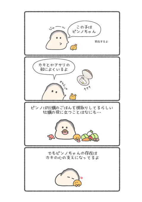 カキと一緒にいるピンノちゃんとは…

#ぷりぷりカキ 