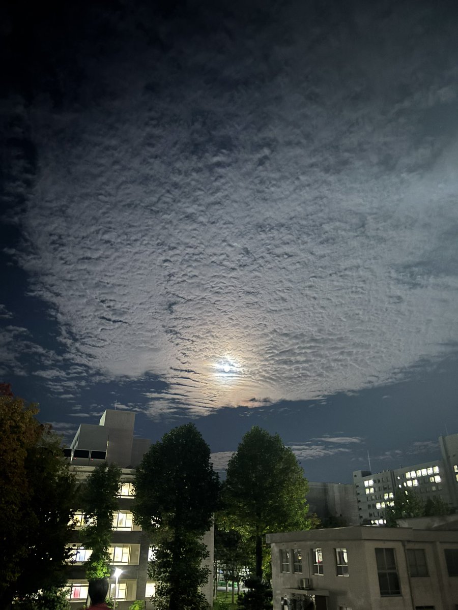 ee_fnu's tweet photo. 5コマおわりの背脂みたいな空 https://t.co/2If7M5jk3B