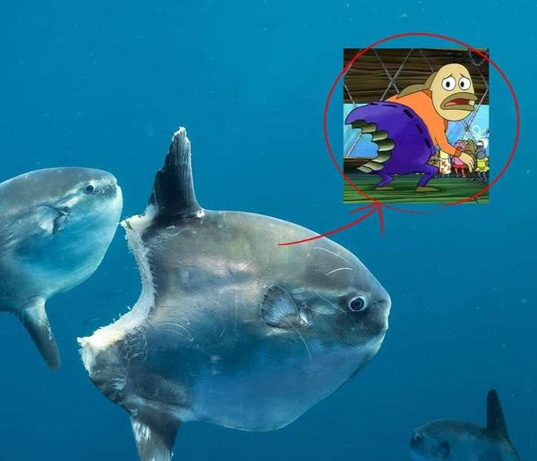 GInTSbottomtext's tweet photo. @wwparasiVT bully them back https://t.co/te2gNDd9yy