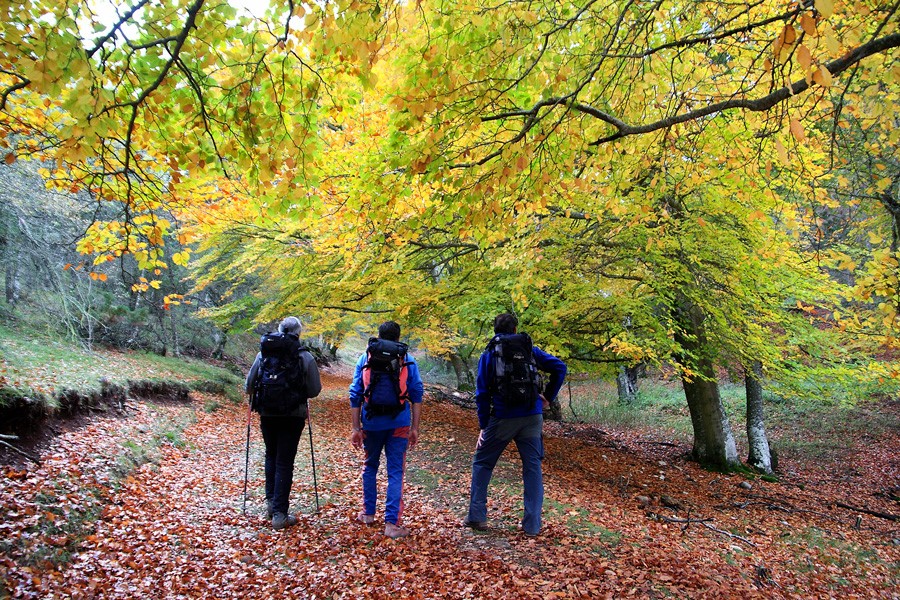 Businirmaslejos's tweet photo. BURGOS EN OTOÑO 😍 https://t.co/w4SkrP1ZLE