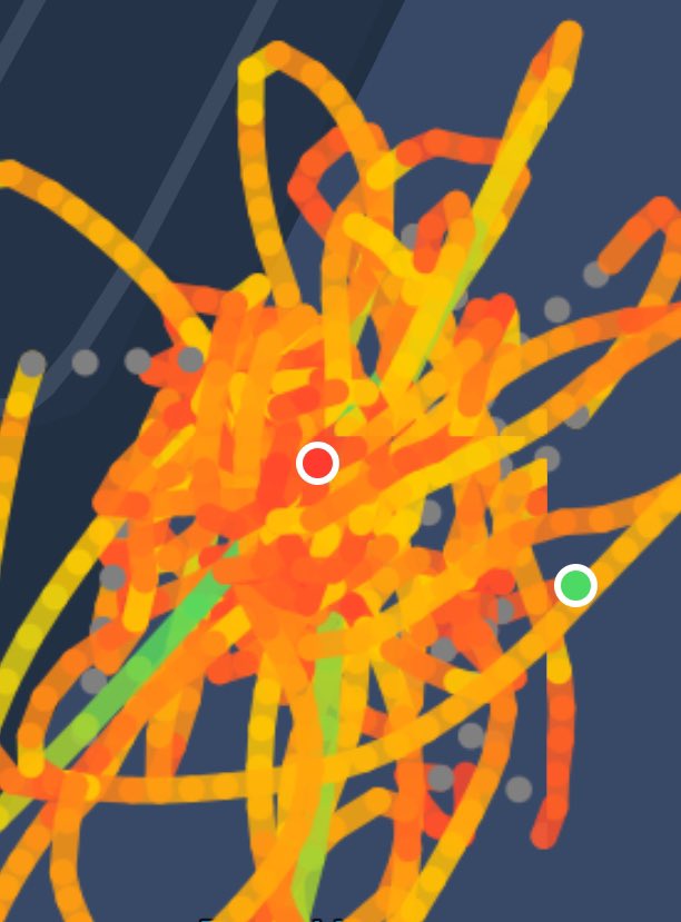 Prof Alice Roberts💙 tweet media