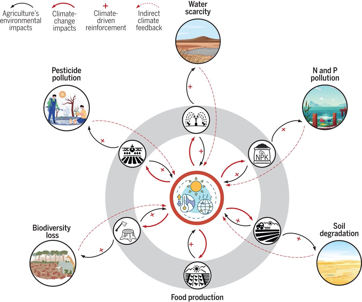 Abiotic stress in plants (Green Survivors) (@abioticstress) on Twitter photo Review by Yang et al. <a href="/Stanford/">Stanford University</a> <a href="/ScienceMagazine/">Science Magazine</a>
#Climate change exacerbates the #environmental impacts of #agriculture
science.org/doi/abs/10.112…
#PlantSci <a href="/NP_EiC/">Alistair Hetherington</a> <a href="/GoeHensel/">Dr. Götz Hensel</a> <a href="/tp590/">Taras Pasternak</a> <a href="/rmwhitford/">Ryan Whitford</a> <a href="/ReskiLab/">Ralf Reski 🇩🇪🇪🇺</a> <a href="/EUAgri/">EU Agriculture🌱</a> <a href="/agristok/">Agristok</a> <a href="/croprootbiology/">Dr Megan Shelden</a> <a href="/ASA_Soybeans/">American Soybean Association</a> <a href="/SciSustAg/">Science for Sustainable Agriculture</a> <a href="/sci_plant/">Plant Science</a> Review by Yang et al. <a href="/Stanford/">Stanford University</a> <a href="/ScienceMagazine/">Science Magazine</a>
#Climate change exacerbates the #environmental impacts of #agriculture
science.org/doi/abs/10.112…
#PlantSci <a href="/NP_EiC/">Alistair Hetherington</a> <a href="/GoeHensel/">Dr. Götz Hensel</a> <a href="/tp590/">Taras Pasternak</a> <a href="/rmwhitford/">Ryan Whitford</a> <a href="/ReskiLab/">Ralf Reski 🇩🇪🇪🇺</a> <a href="/EUAgri/">EU Agriculture🌱</a> <a href="/agristok/">Agristok</a> <a href="/croprootbiology/">Dr Megan Shelden</a> <a href="/ASA_Soybeans/">American Soybean Association</a> <a href="/SciSustAg/">Science for Sustainable Agriculture</a> <a href="/sci_plant/">Plant Science</a>