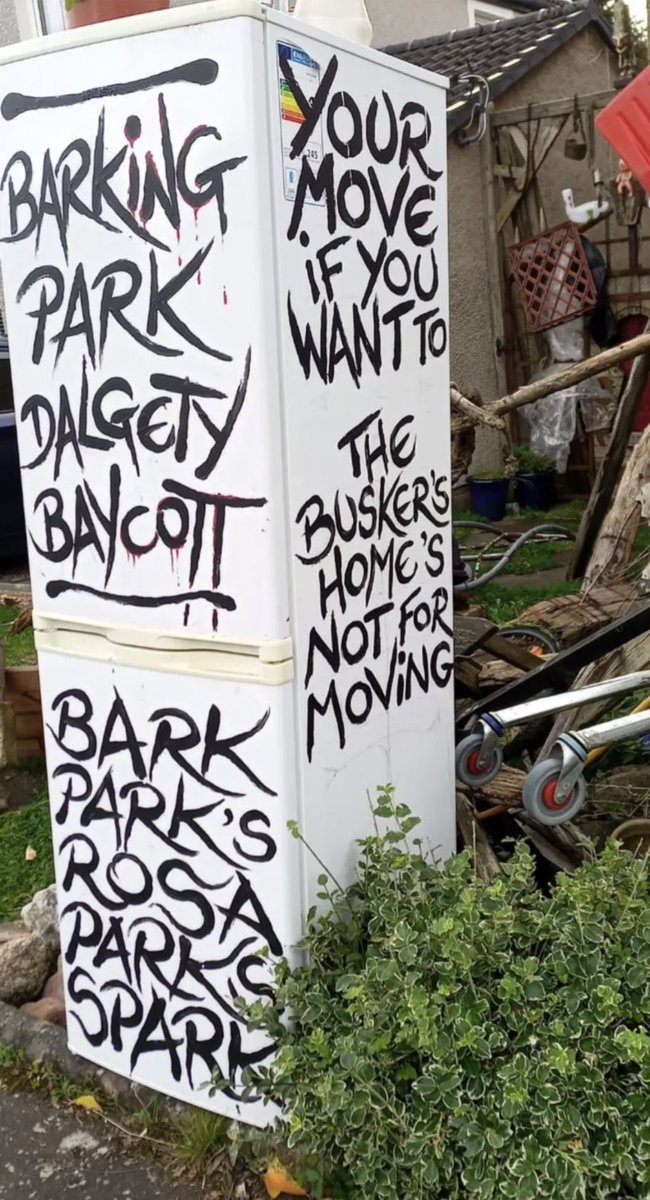 Will Steele tweet media