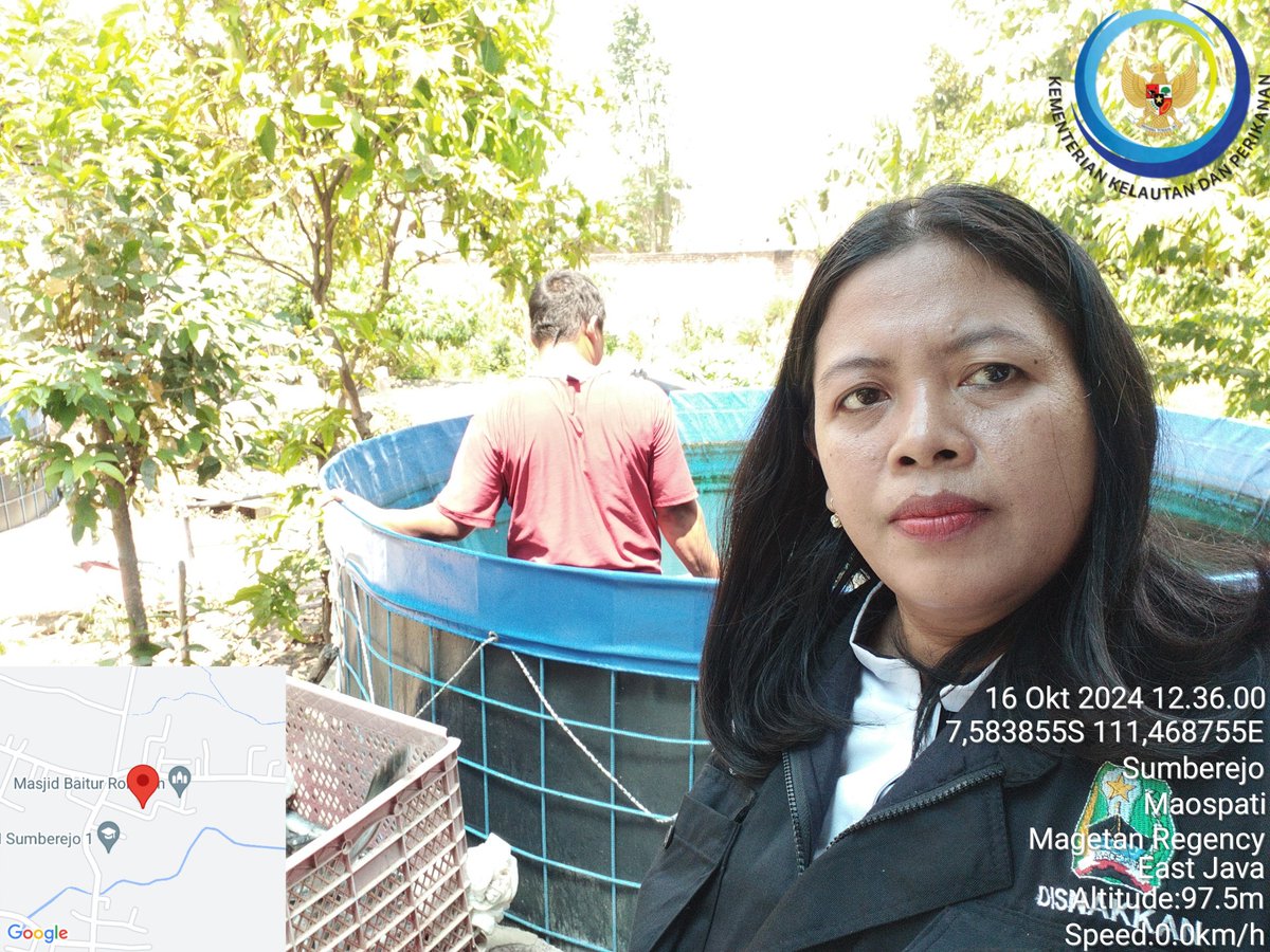 Yanikpurwidya's tweet photo. Rabu (16/10/2024), Yanik P., S.Pi, Luhkan Kab. Magetan, melaporkan panen ikan lele di Pokdakan Mina Berkah, DS. Sumberejo, Kec. Maospati sbyk 176 kg, panen rata2 100gr/ekor, Harga Rp.18.500/kg.

#GiatLuhkanSatminkalBWI
#Panen
#LuhLapor https://t.co/tmVeGxwLIk