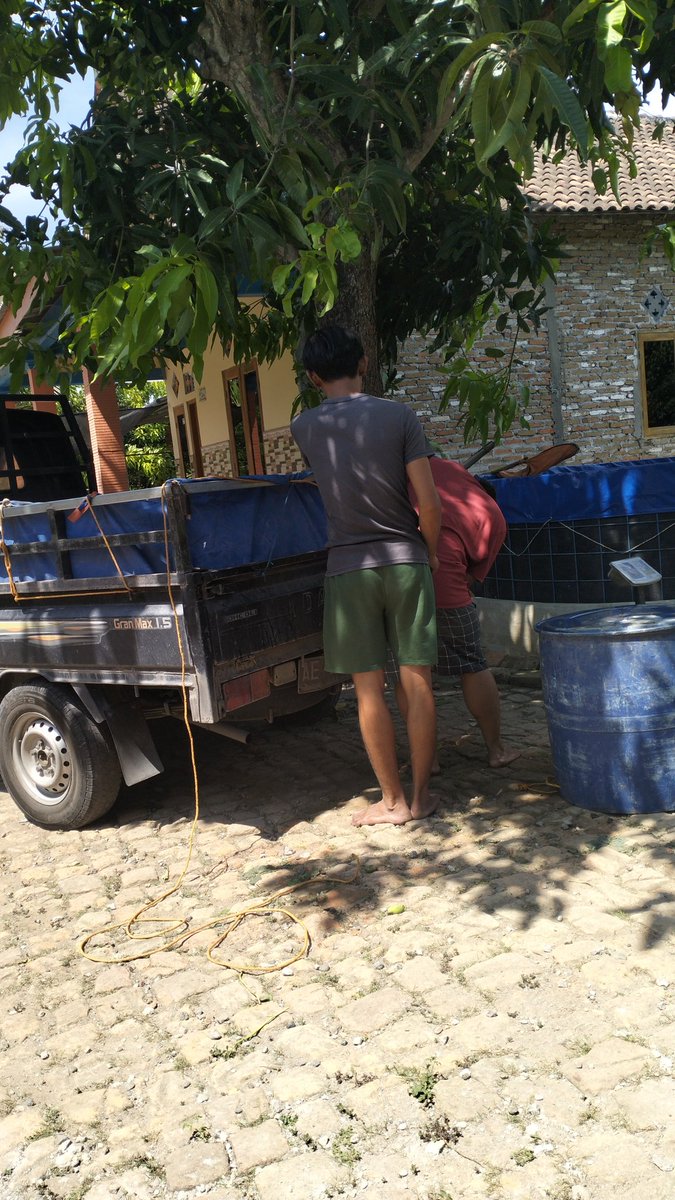 Yanikpurwidya's tweet photo. Rabu (16/10/2024), Yanik P., S.Pi, Luhkan Kab. Magetan, melaporkan panen ikan lele di Pokdakan Mina Berkah, DS. Sumberejo, Kec. Maospati sbyk 176 kg, panen rata2 100gr/ekor, Harga Rp.18.500/kg.

#GiatLuhkanSatminkalBWI
#Panen
#LuhLapor https://t.co/tmVeGxwLIk