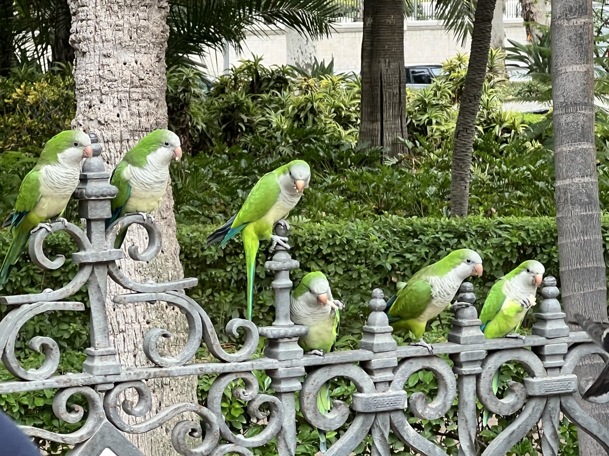 toolboxsoftware's tweet image. 🌞✈️ Tool Box Conference 2024 in Málaga 🇪🇸⚙️
Ein unvergessliches Teamevent in der sonnigen Stadt Málaga! Danke an alle, die dabei waren und dieses Event zu einem vollen Erfolg gemacht haben. Wir freuen uns schon jetzt auf das nächste Mal! 🎉
#ToolBoxConference2024 #Teamevent