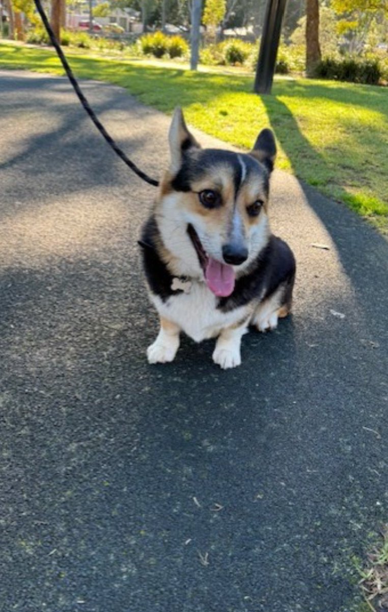 Berala Public School tweet media