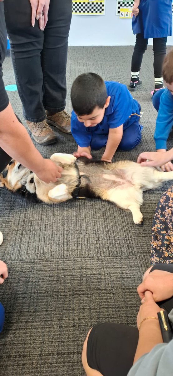 Berala Public School tweet media