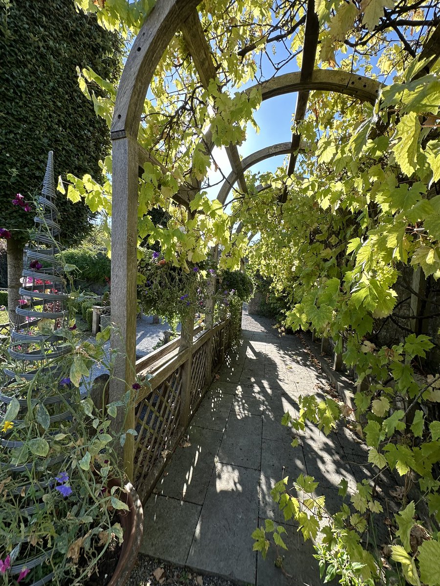 LindyLouMac's tweet photo. A garden path that leads you to hidden places is my favourite kind. #ireland #rothehousegardens #gardendesign #garden #gardenpath #fmspad #fmsphotoadaychallenge #fms_gardenpath @rothehouse https://t.co/hsW0bRLy4B