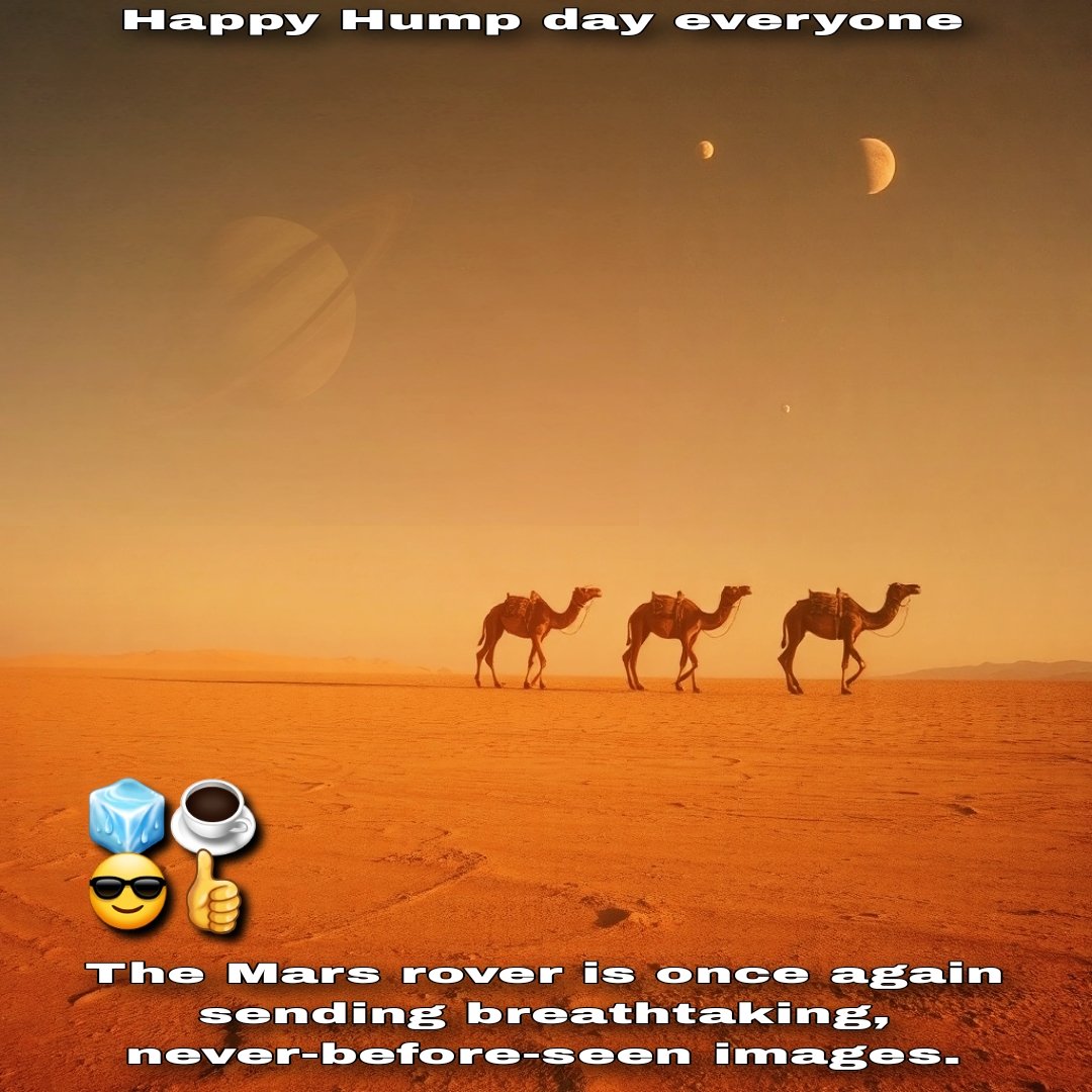 <a href="/PatGrant7777/">✨Star Bright ✨</a>
<a href="/ComesAnnemarie/">Annemarie Comes</a>
<a href="/ThisIsJimmyStar/">Jimmy Star</a>
<a href="/Jimmy_Ron_Fans/">Jimmy Star Show with Jimmy And Ron Russell Star</a>
@TWizmWhytePiece
<a href="/Sky13861654/">Sky</a>
<a href="/COccupants79/">Lucienne Corina 👽💯</a>
<a href="/DebbieZimmer54/">Debbie</a>
<a href="/RareCat/">Charles A. Tijou</a>
<a href="/Kugey/">𝔻𝕒𝕧𝕚𝕕 𝕂𝕦𝕘𝕖𝕝𝕞𝕒𝕤</a>
<a href="/michaelbathurst/">Michael George Bathurst #ShoutMGB</a>
<a href="/TlrWorldWidellc/">TlrWorldWidellc</a>
<a href="/Quinnqueens/">Quinn 💛(G.Quinn Rogers)</a>
<a href="/Chrissy_Clarke/">Chrissy Clarke</a>
<a href="/mvollmer1/">Dr. Marcell Vollmer #StaySafe #CES2026</a>
<a href="/LukeSharpTV/">Luke Sharp</a>
<a href="/ursobuursula1/">❣️Ursula❣️</a>
<a href="/jill_magnussen/">Jill Magnussen</a>
<a href="/LlosaLee/">Sandra de la Llosa</a>
<a href="/JangHoonLuv/">Angie King</a>