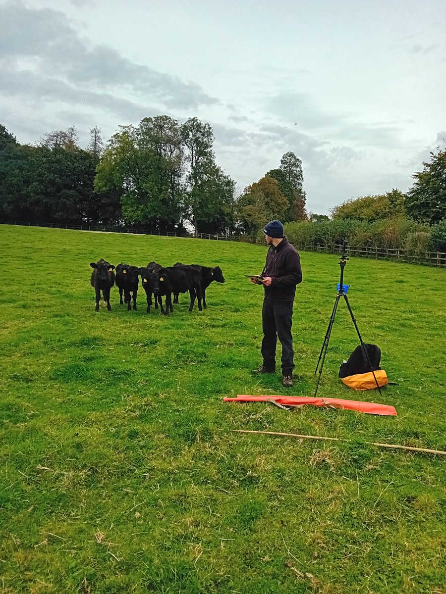 SWTConsultancy's tweet image. Curious calves! 🐄🐄🐄 

Cows and calves are naturally inquisitive and curious because of their acute senses and social nature!

Staying calm but alert means we can continue to survey safely!