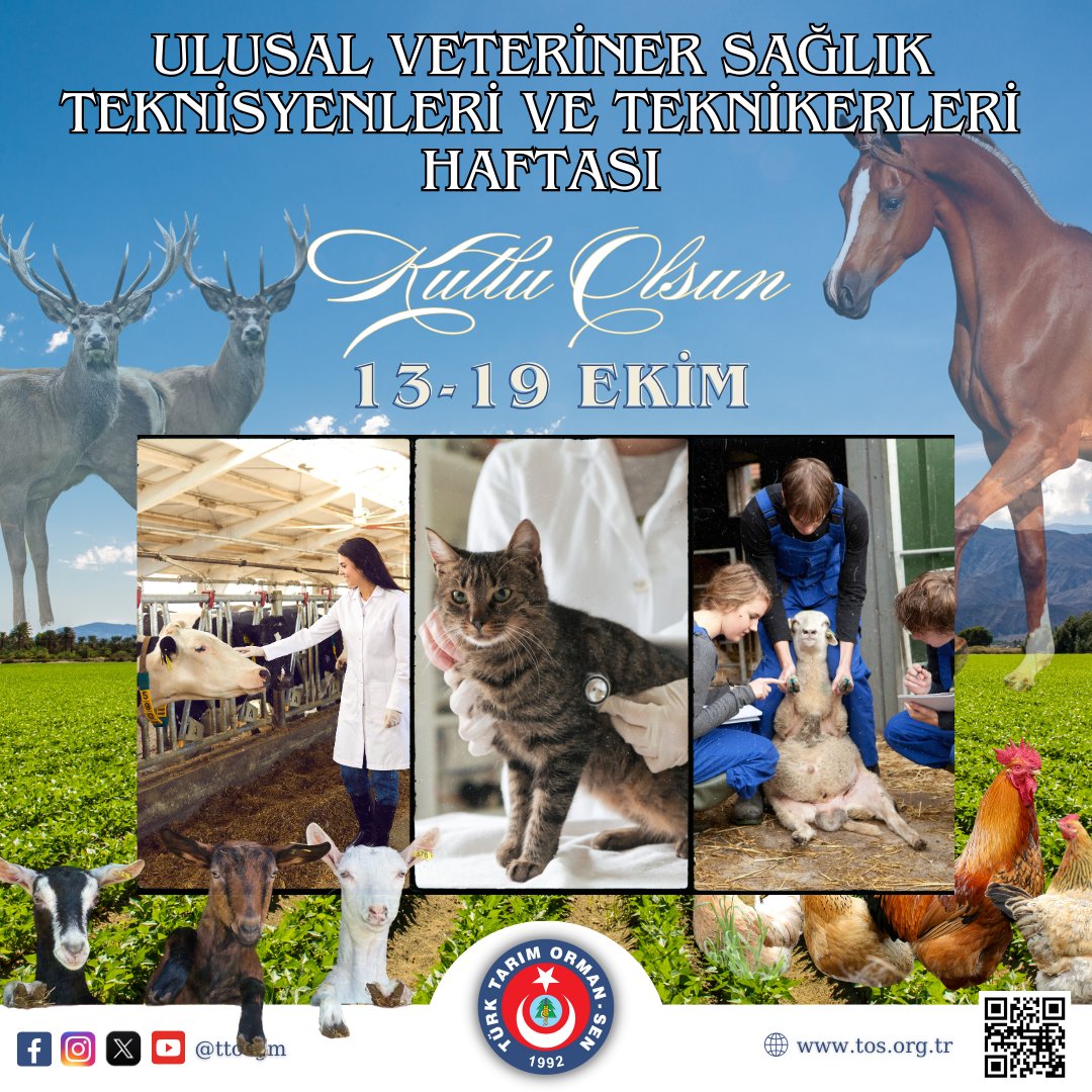 Ülkemizde hayvan hastalık ve zararlıları ile mücadelenin en büyük emektaşları, toplumumuza yerli ve sağlıklı hayvansal ürünler sunulması sürecinin gizli kahramanları, mesai mefhumu gütmeden, 7/24 esasına göre her türlü sağlık risklerine muhatap olduğu halde canını dişine takıp