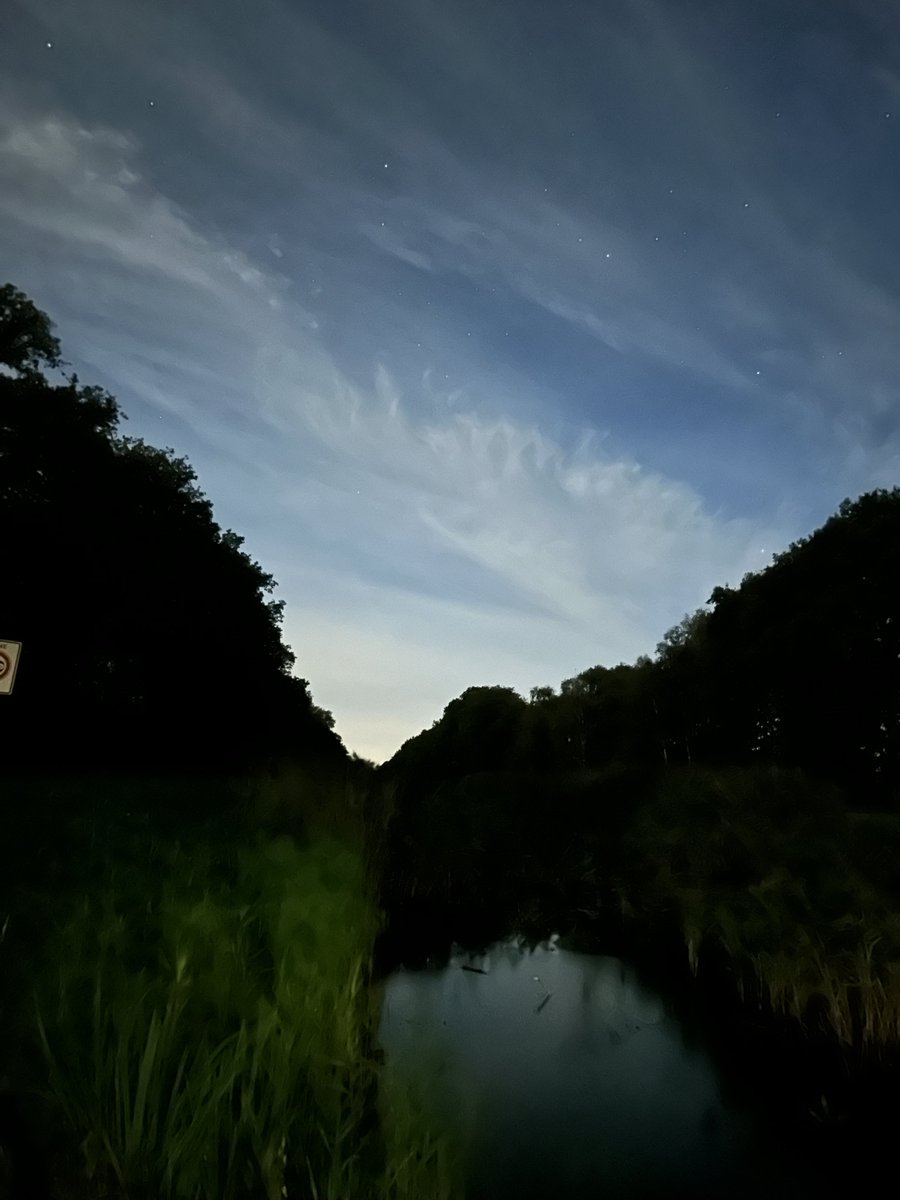 @koplamp.bsky.social Martin Schoenmaker tweet media