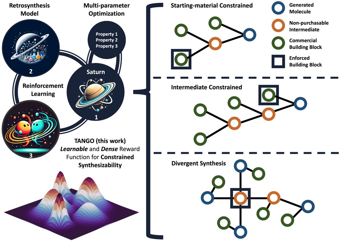 General-purpose (without any constraints) molecular generative models can *directly* optimize for *constrained* synthesizability using retrosynthesis models!

Find out why it *takes two to tango*:

Pre-print: arxiv.org/abs/2410.11527
Code: github.com/schwallergroup…

(1/2)