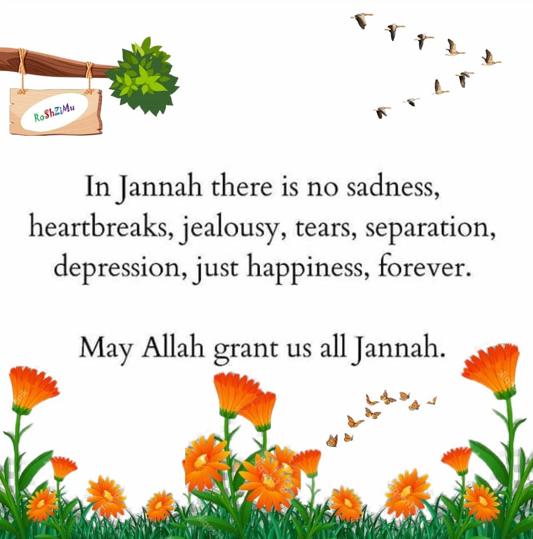 Al__Quraan's tweet photo. I need unlimited Aamiin https://t.co/wKAXdFUkbE