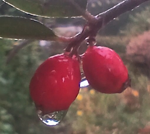 🗿📡🌱🫛🚴♂️David🏴 tweet media