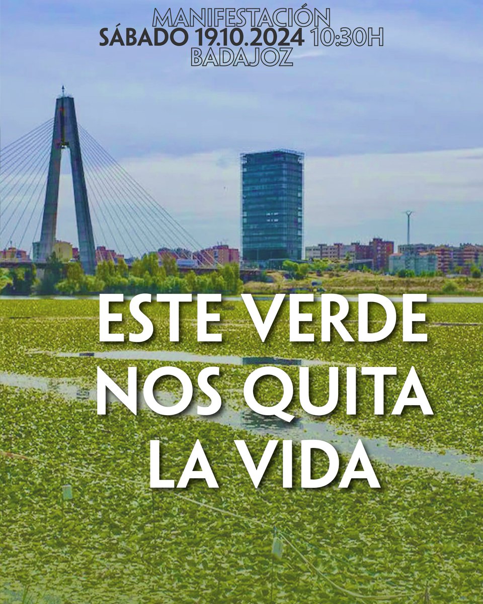 CDBadajoz's tweet photo. 🌱 𝐄𝐋 𝐕𝐄𝐑𝐃𝐄 𝐐𝐔𝐄 𝐍𝐎𝐒 𝐃𝐀 𝐋𝐀 𝐕𝐈𝐃𝐀
❌ 𝐄𝐋 𝐕𝐄𝐑𝐃𝐄 𝐐𝐔𝐄 𝐍𝐎𝐒 𝐋𝐀 𝐐𝐔𝐈𝐓𝐀

⚪️⚫️ CD Badajoz 🆚 @cfjaraiz 
🗓️ Domingo 20 de octubre 
📍 Estadio Nuevo Vivero
🕔 17:00

🏞️ 𝗦𝗔𝗟𝗩𝗘𝗠𝗢𝗦 𝗘𝗟 𝗚𝗨𝗔𝗗𝗜𝗔𝗡𝗔 🏞️
⚠️ ¡Nuestro río, columna vertebral de nuestra ciudad, está en peligro!

🗣️🗓️📍Manifestación, sábado 19 de octubre desde la delegación del Gobierno (Avda. de Huelva) hacia la sede de la CHG (Avda. Sinforiano Madroñero)

#BadajozJaraíz #SalvemoselGuadiana