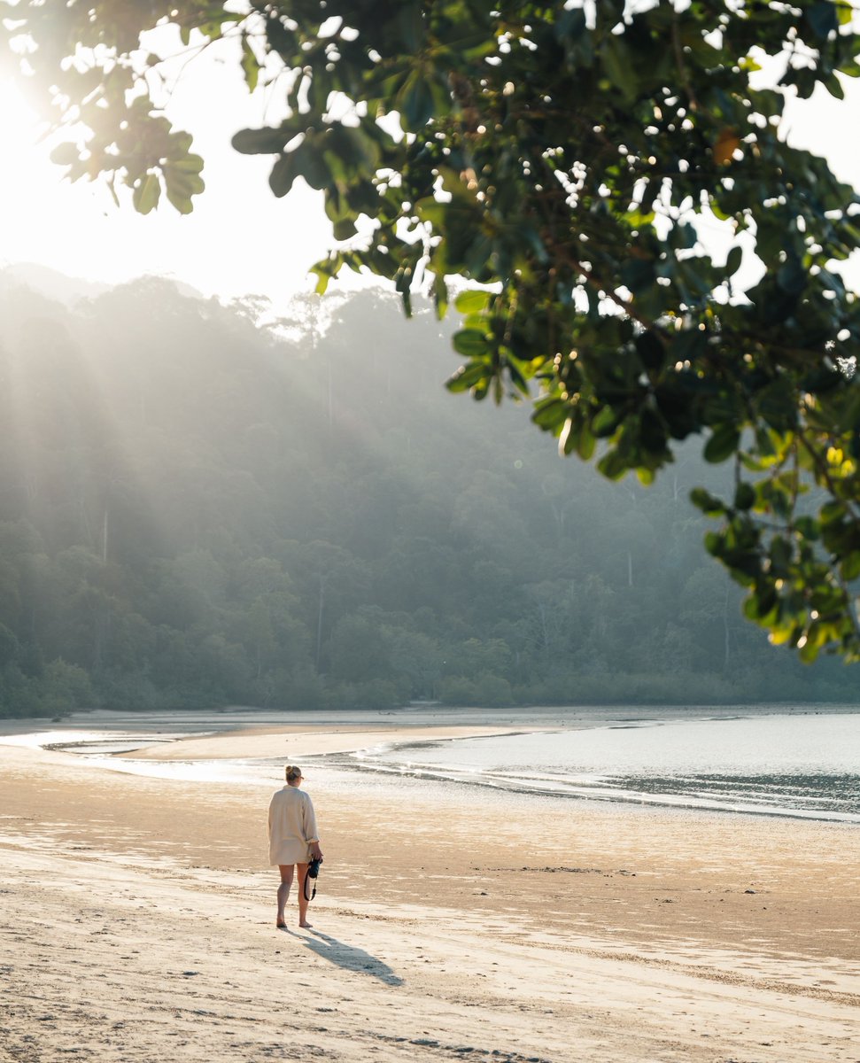 DataiLangkawi's tweet photo. Beneath the blue sky, the spread of golden sand meets the sea breeze and sunshine, creating an atmosphere ideal for relaxation. Every moment feels truly amazing at The Datai Langkawi.
⁠
#TheDataiLangkawi #DiscoverDatai⁠
⁠
 📸@marionpayr⁠ https://t.co/36VlPKEWlu
