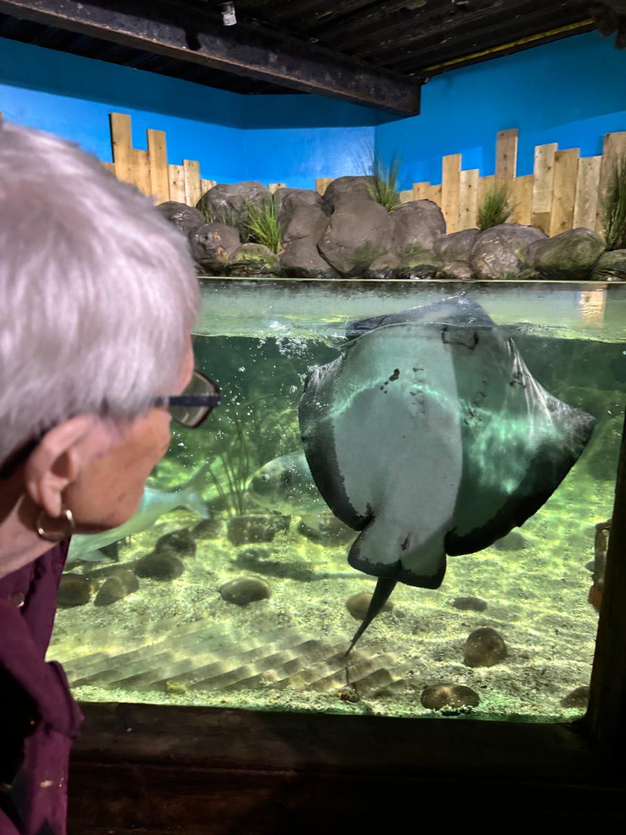 futurecaregroup's tweet photo. Oaklands Lodge Nursing Home residents were impressed by the mesmerising beauty of the undersea world. We explored an incredible variety of sea life, from the wonders of British waters to the vibrant tropical coral reefs. A fantastic day was enjoyed by all! https://t.co/h1B1uRAhDi