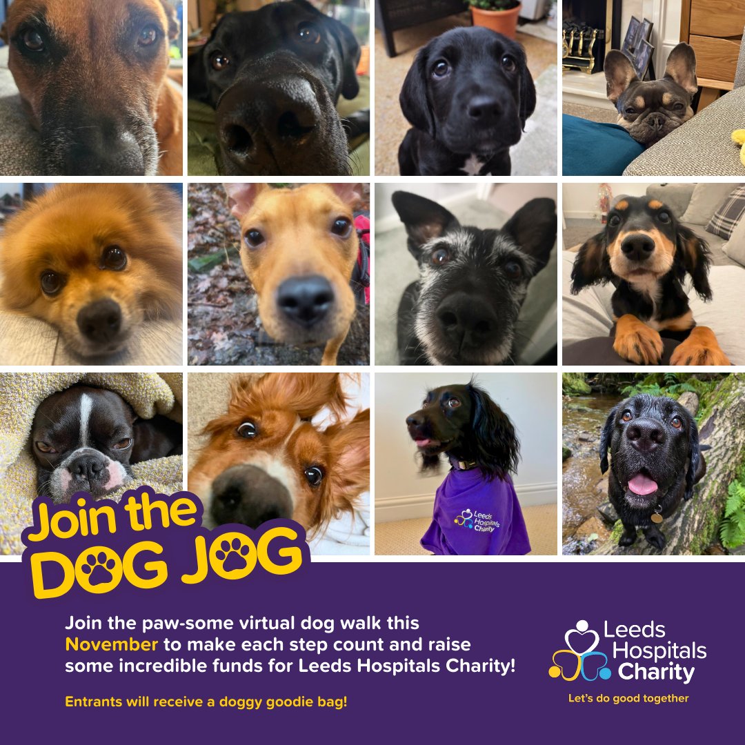 LDShospcharity's tweet image. 🐾 Join the Virtual Dog Jog from Nov 1-30, 2024!
 
Register, fundraise, and run with your dog for Leeds Hospitals Charity! 🏃‍♂️✨

leedshospitalscharity.org.uk/Event/dog-jog

#DogJog #VirtualChallenge #DogLovers #DogsOfInstagram