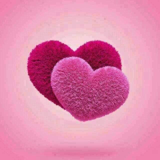 Betty Lee (@bettylee3788) on Twitter photo 