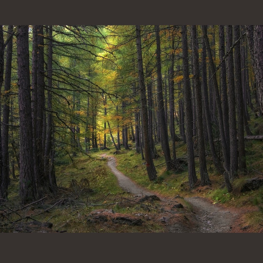 AWSIdentity's tweet image. Instead of creating a new #AWSOrganizations organization trail, I want to change my existing #AWSCloudTrail trail to an organization trail. How do I do this? 👉 go.aws/3YdpqPe