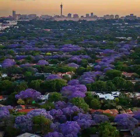 Carl_CE50's tweet photo. Johannesburg, South Africa 🇿🇦 https://t.co/doBleDj5BP