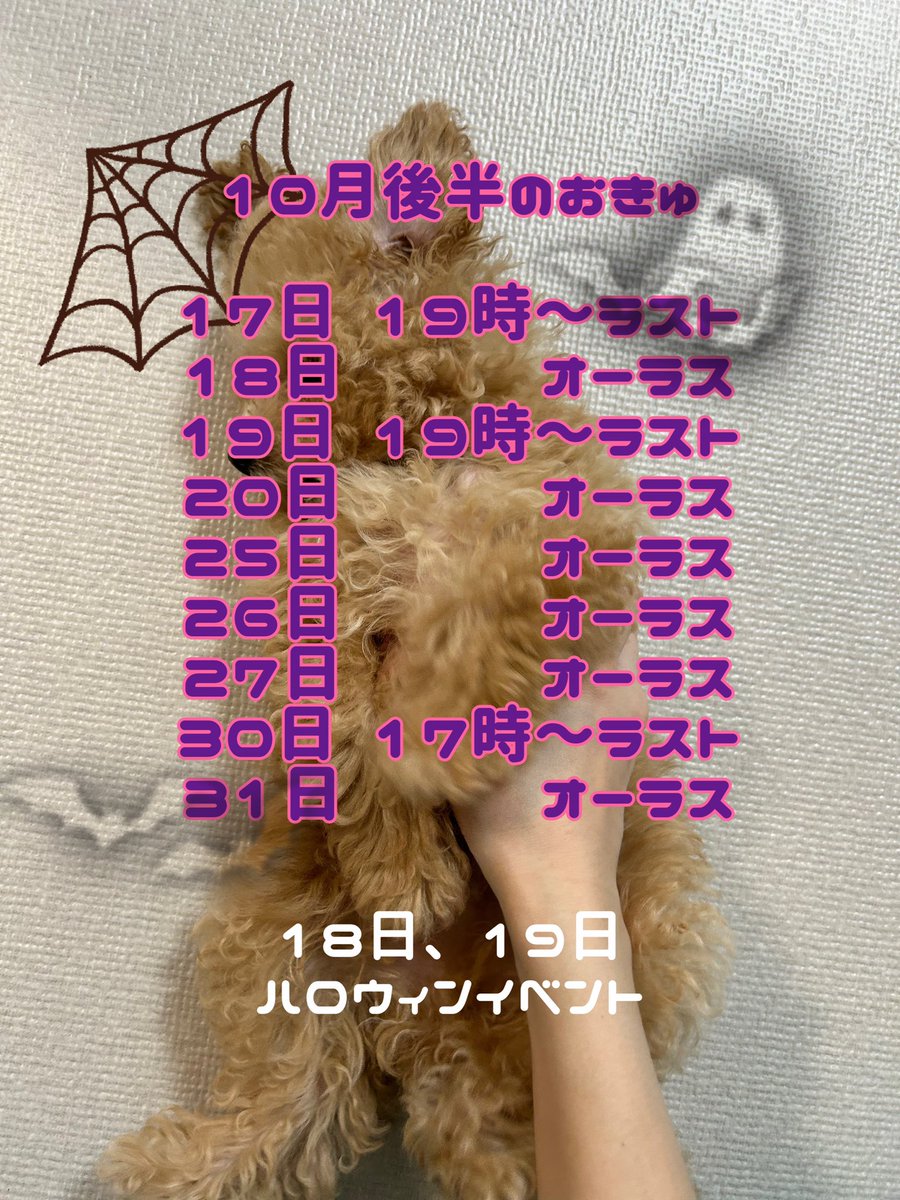 ripyon_n's tweet photo. https://t.co/b3SAesjKJW