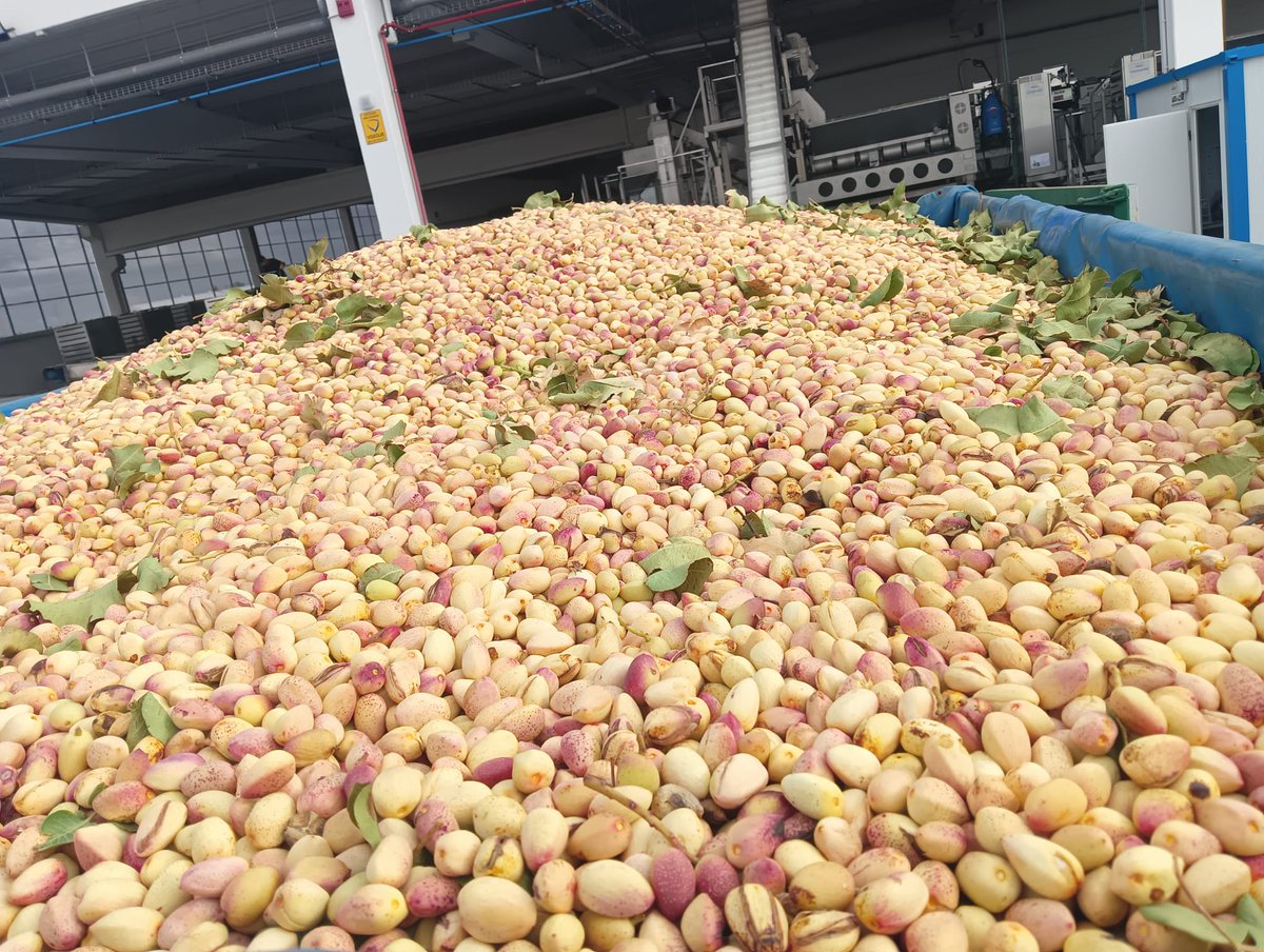 AgroNewsCV's tweet photo. .@grupofertiberia y Grupo IberoPistacho se alían para impulsar la sostenibilidad en el cultivo del pistacho

https://t.co/LYI6x9T3El https://t.co/pRVVPb94W3