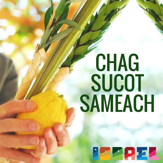 Chag sucot Sameach 🍋🌾✡️