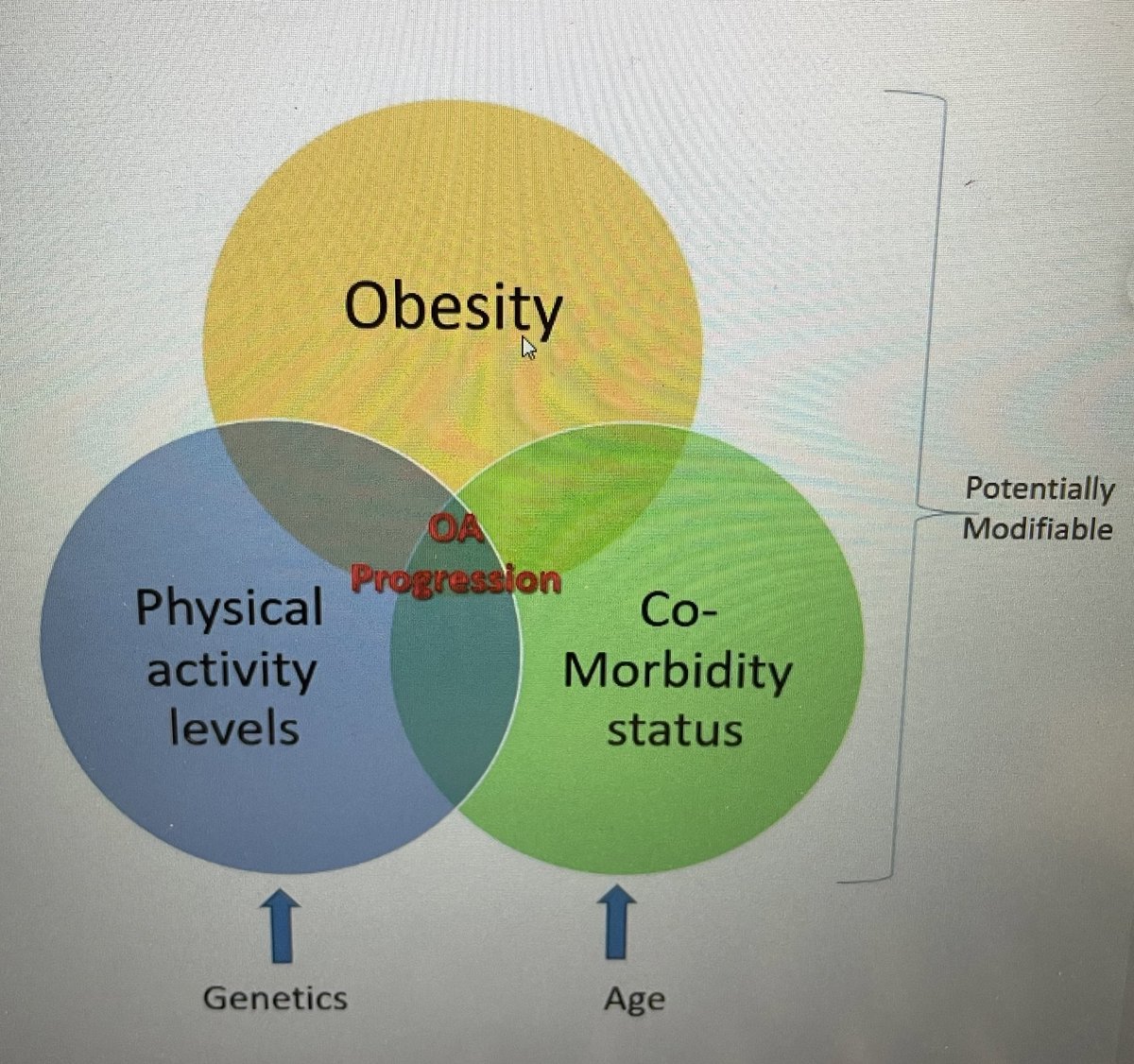 Ruth Johnson💙Prehab tweet media