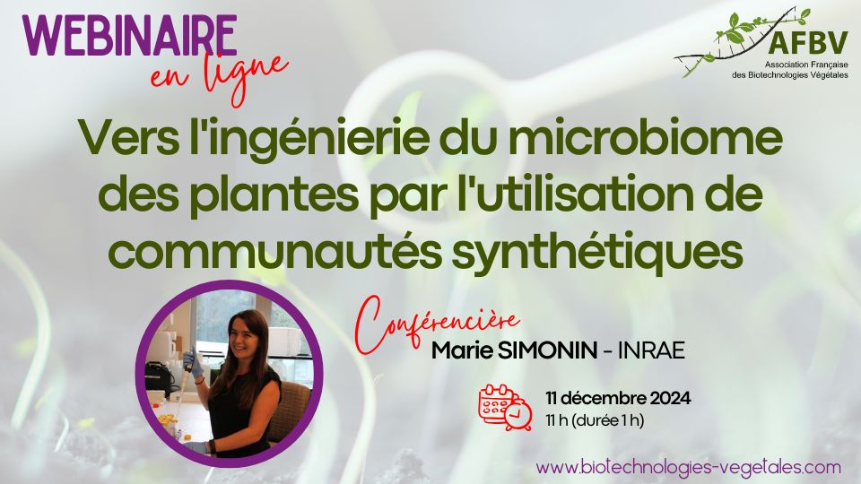 AFBV1's tweet image. Save the date ! Nouveau Webinaire de l'
@AFBV1
Infos et inscription :  biotechnologies-vegetales.com/webinaire-11/